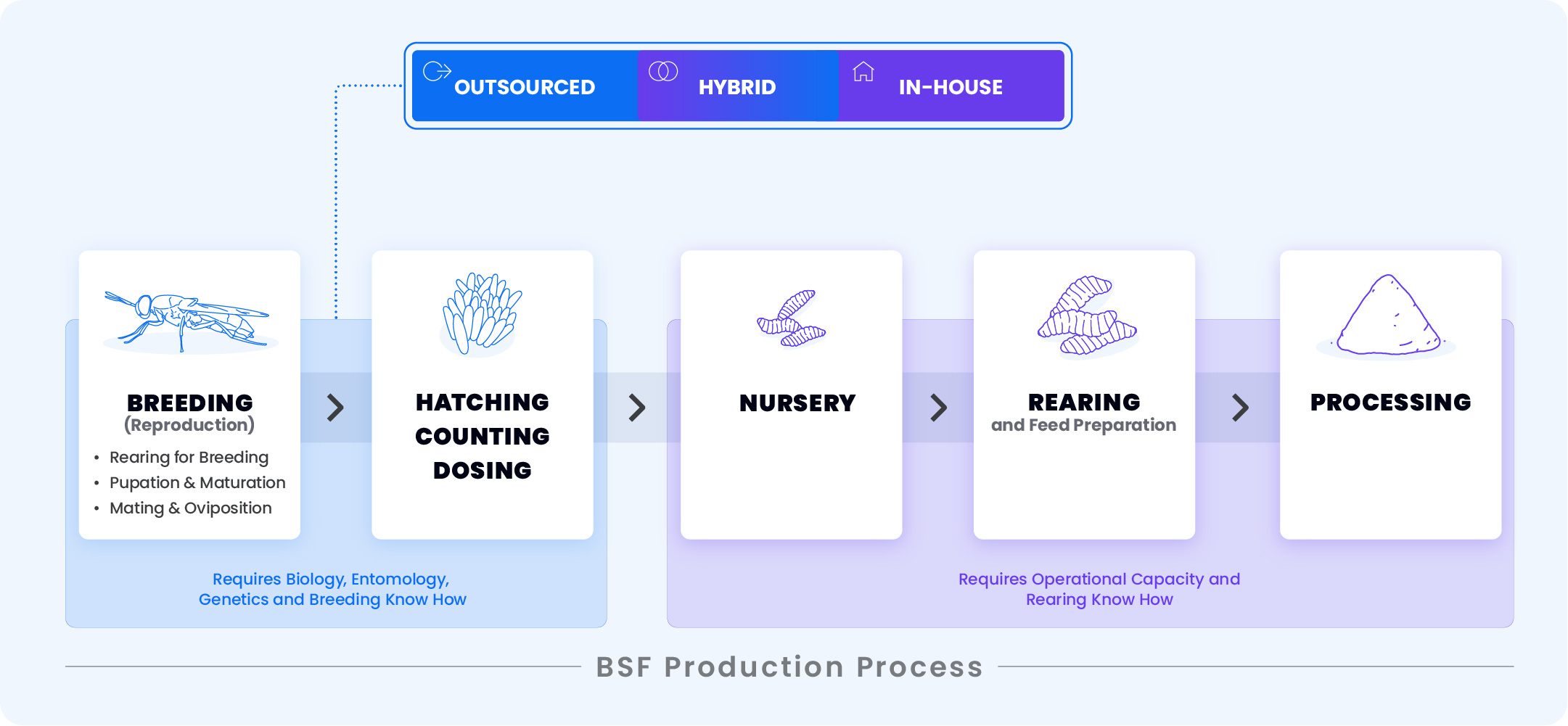 BSF Breeding Models