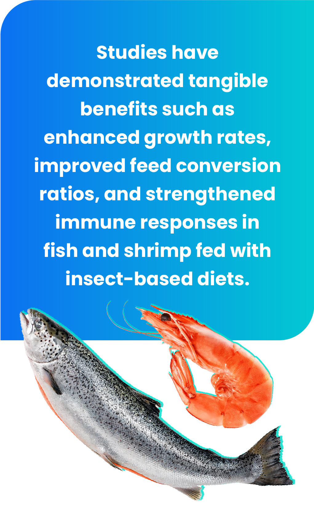 Studies have demonstrated tangible benefits d conversion ratios in fish and shrimp fed with insect-based diets