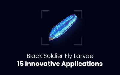 Black Soldier Fly Larvae: 15 Innovative Applications Across Industries