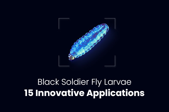 Black Soldier Fly Larvae: 15 Innovative Applications Across Industries